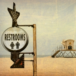 Public Restrooms Category Image
