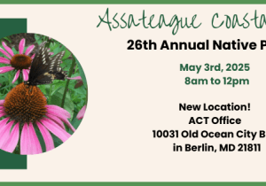 Assateague Coastal Trust - 26th Annual Native Plant Sale