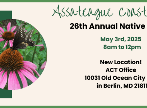 Assateague Coastal Trust - 26th Annual Native Plant Sale
