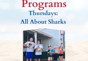 All About Sharks - Free Summer Program at Ocean City Life-Saving Station Museum