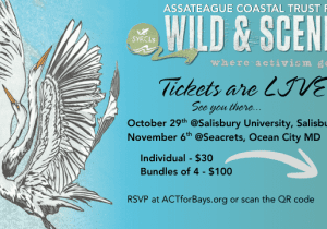 Assateague Coastal Trust 15th Annual Wild & Scenic Film Festival