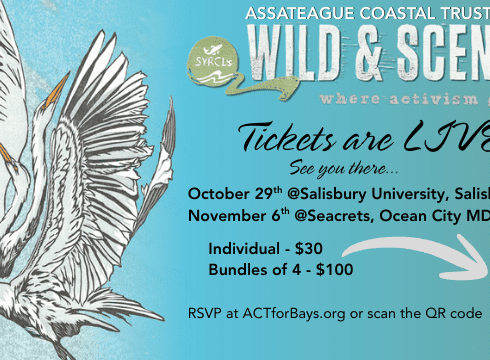 Assateague Coastal Trust 15th Annual Wild & Scenic Film Festival