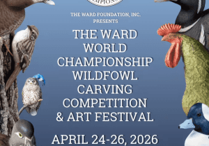 55th Annual Ward World Championship Wildfowl Carving Competition & Art Festival