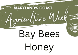 🐝 Maryland’s Coast Agriculture Week: Beekeeping Experience at Bay Bees Honey