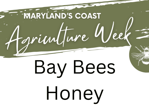 🐝 Maryland’s Coast Agriculture Week: Beekeeping Experience at Bay Bees Honey