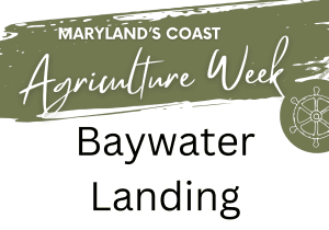 🌊 Maryland’s Coast Agriculture Week: Aquaculture Boat Tour with Baywater Landing
