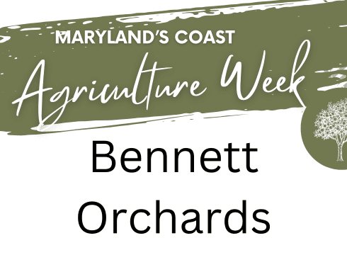 🌻 Maryland’s Coast Agriculture Week: Sunset Yoga + Peach & Sunflower Experience at Bennett Orchards