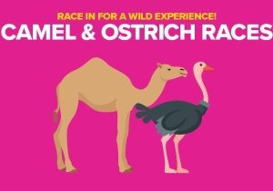 Camel and Ostrich Races