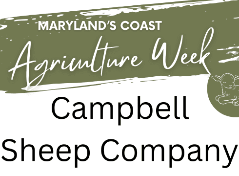 🐑 Maryland’s Coast Agriculture Week: Animal Husbandry with Campbell Sheep Company