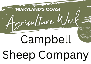 🐑 Maryland’s Coast Agriculture Week: Animal Husbandry with Campbell Sheep Company