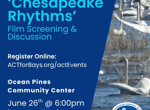 Bay Journal Film Screening 'Chesapeake Rhythms'