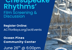 Bay Journal Film Screening 'Chesapeake Rhythms'