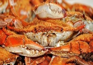 Ocean City Seafood Festival
