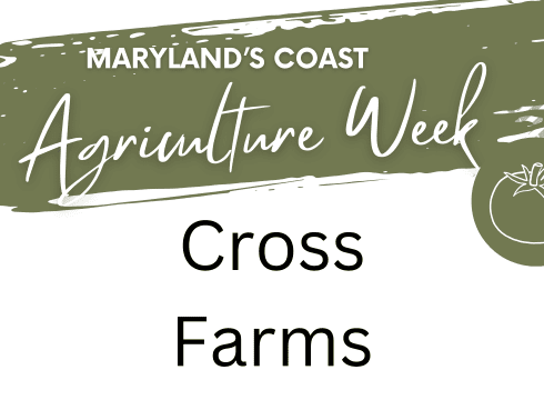🍅 Maryland’s Coast Agriculture Week: Tomato Tasting at Cross Farms