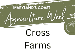 🍅 Maryland’s Coast Agriculture Week: Tomato Tasting at Cross Farms