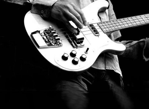 Live Entertainment at Harborside Bar & Grill