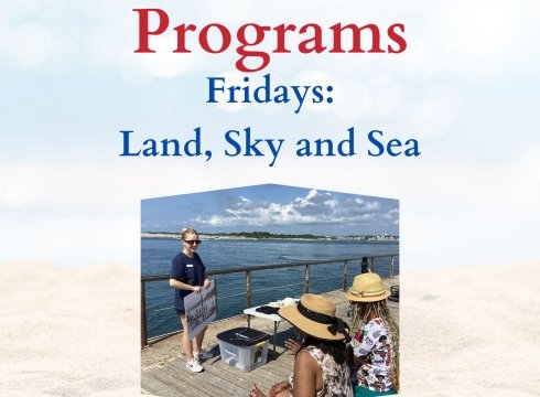 Free Summer Programs: Land, Sky, and Sea