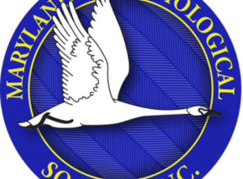 Maryland Ornithological Society (MOS) Convention