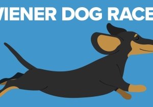 Wiener Dog Races
