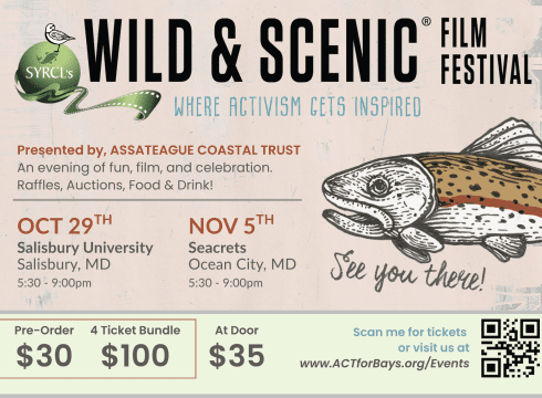 Assateague Coastal Trusts 16th Annual Wild & Scenic Film Festival