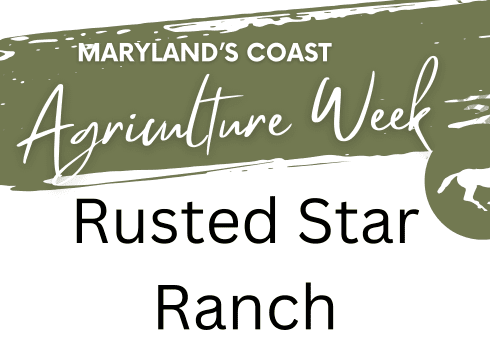 🐴 Maryland’s Coast Agriculture Week: Horse Farm Experience at Rusted Star Ranch