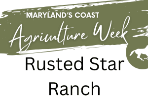 🐴 Maryland’s Coast Agriculture Week: Horse Farm Experience at Rusted Star Ranch