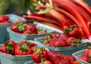 Ocean Pines Farmers and Artisans Market