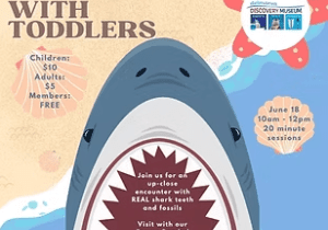 Sharks with Toddlers