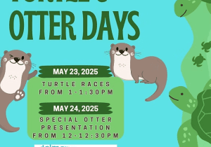 World Otter Day Celebration