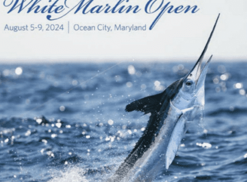 52nd Annual White Marlin Open & MarlinFest 2025
