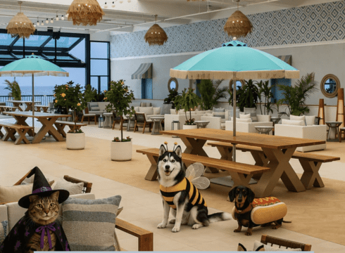 Celebrate Howl-O-Ween | Pet Costume Contest