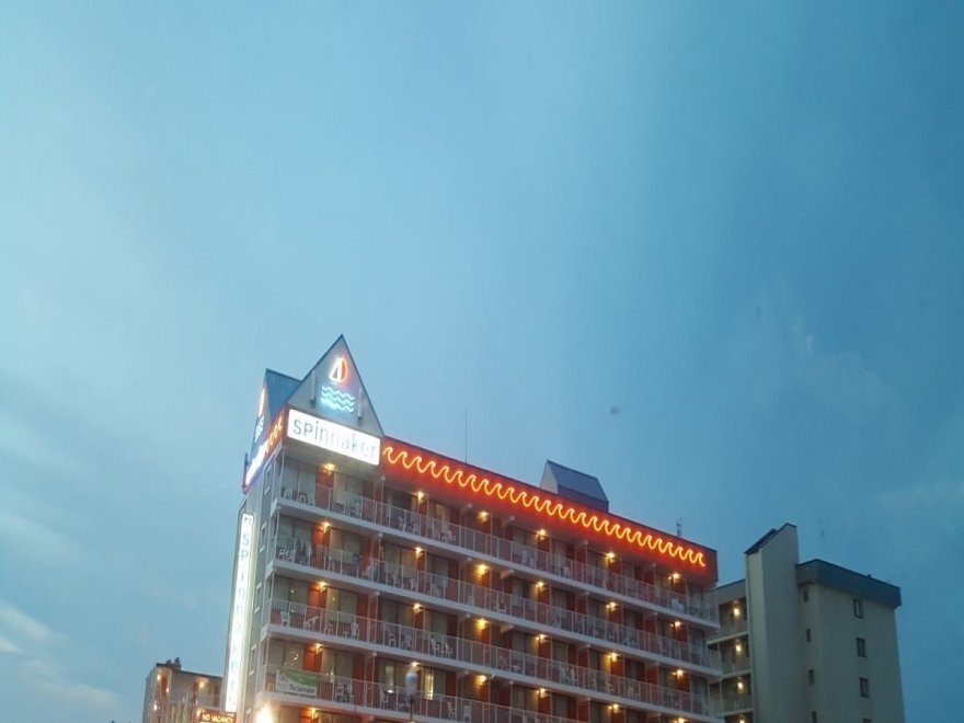 The Spinnaker