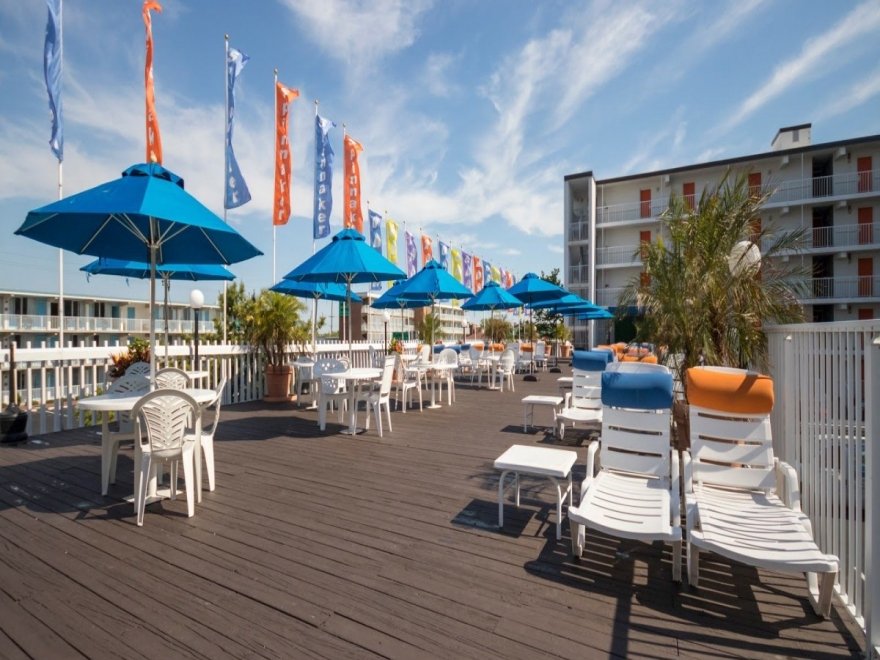 The Spinnaker