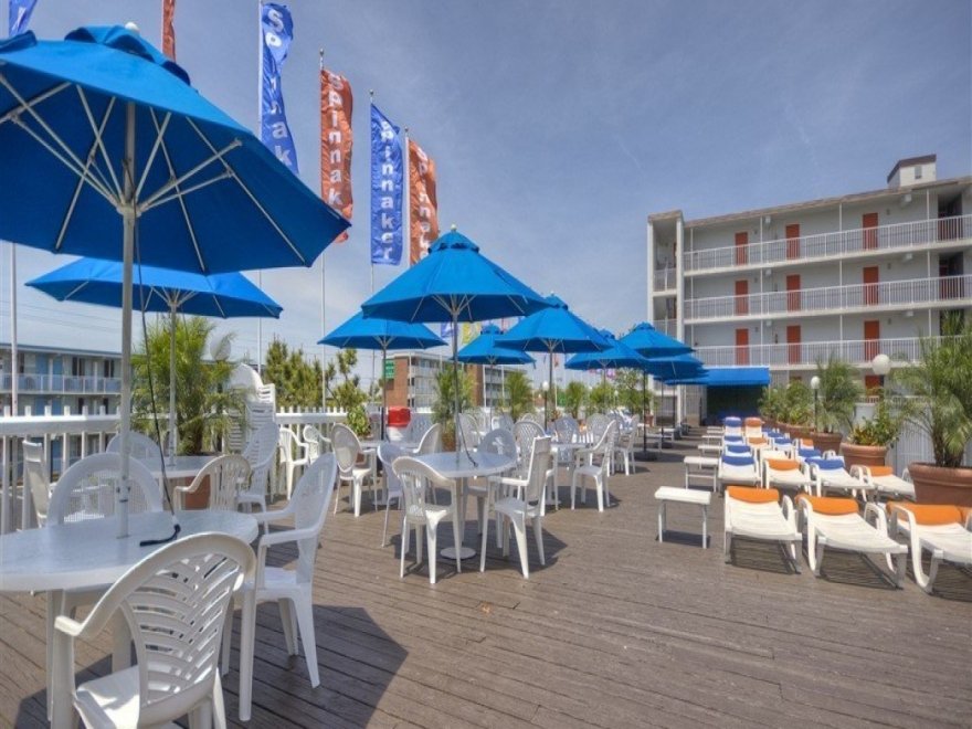 The Spinnaker