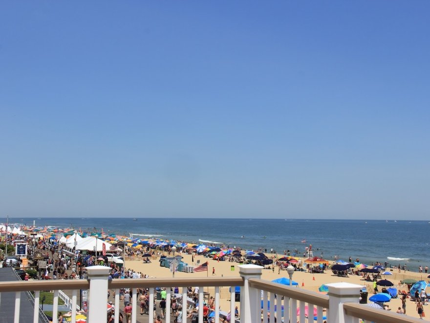 Safari Hotel Boardwalk