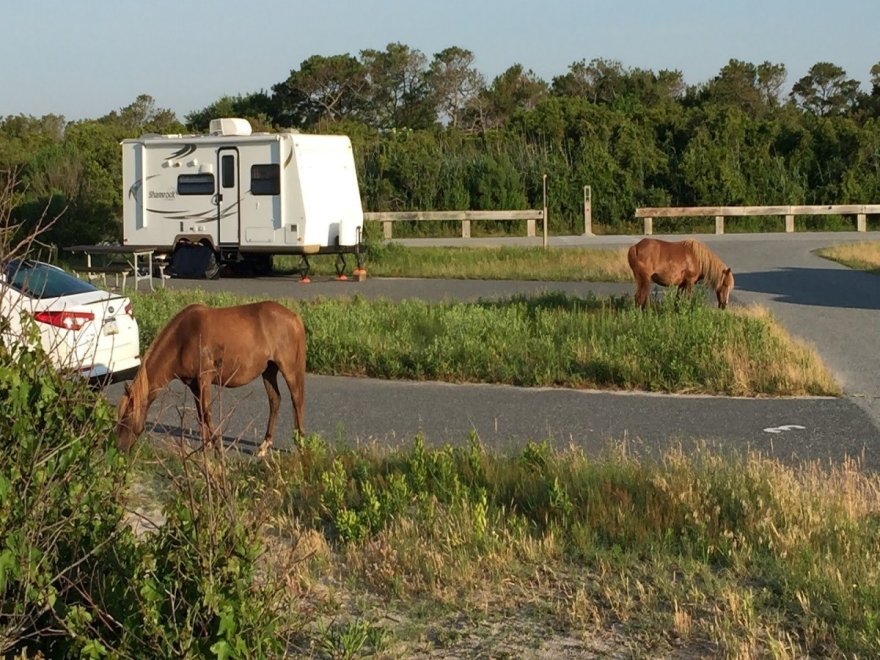 Assateague Island National Seashore