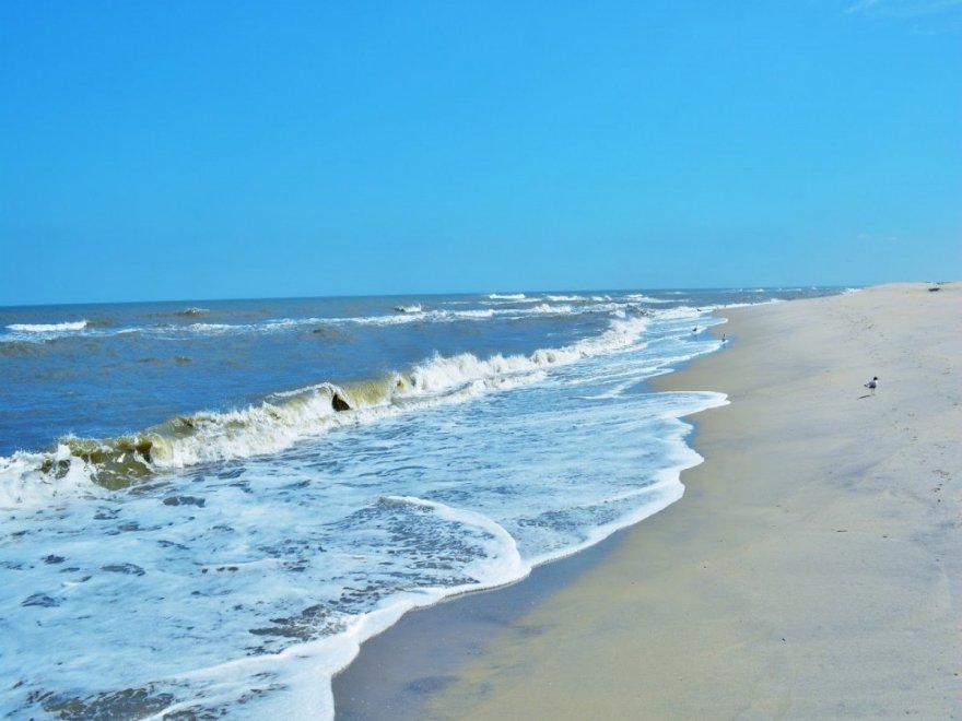 Assateague Island National Seashore