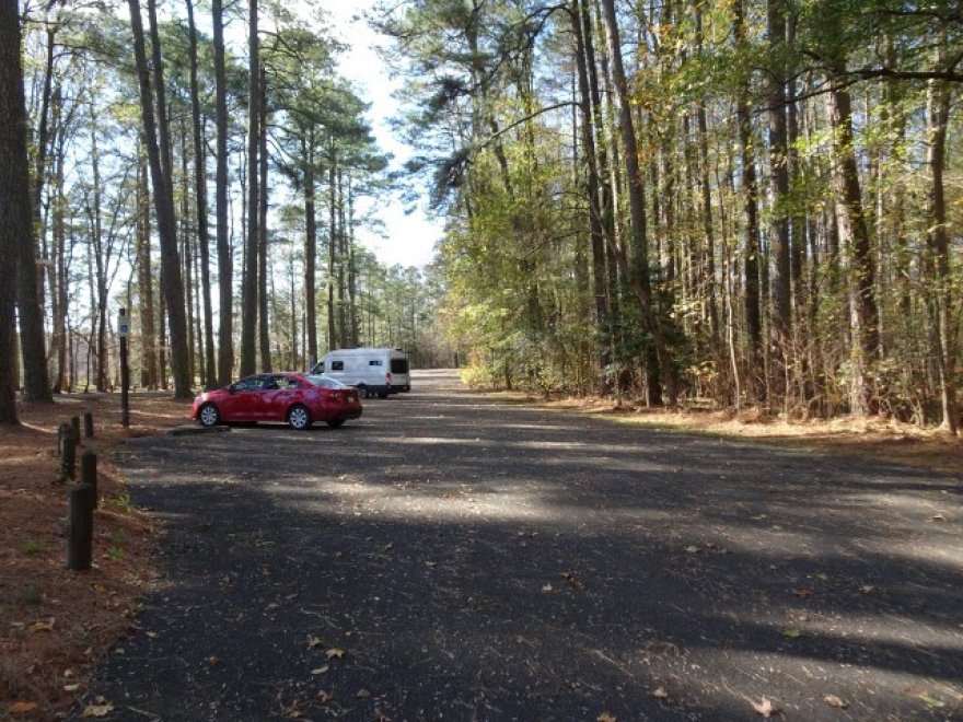 Pocomoke River State Park: Milburn Landing