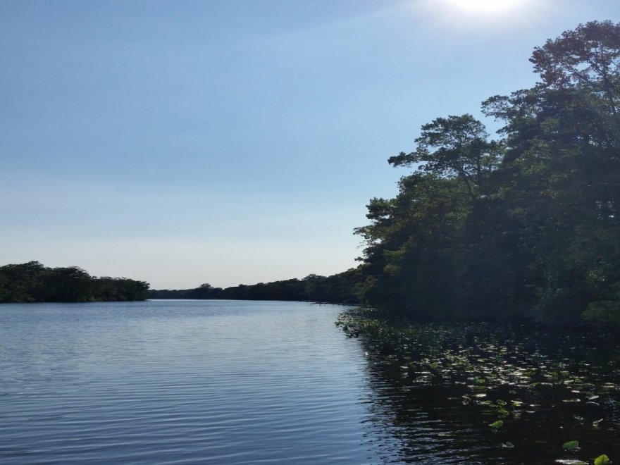 Pocomoke River State Park: Milburn Landing