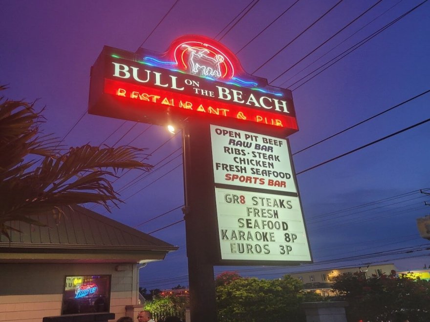 Bull on the Beach