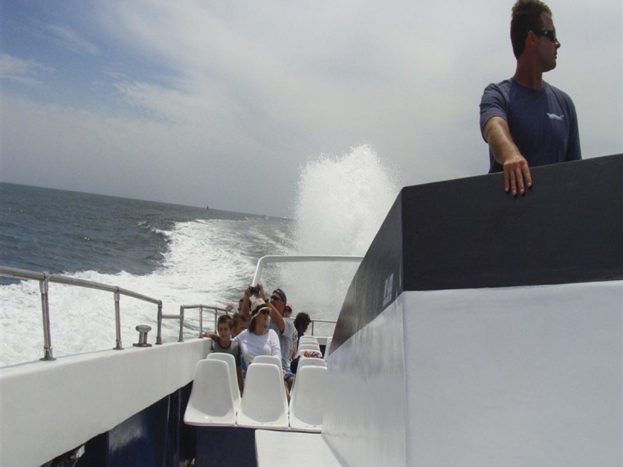Sea Rocket Power Boat Ride