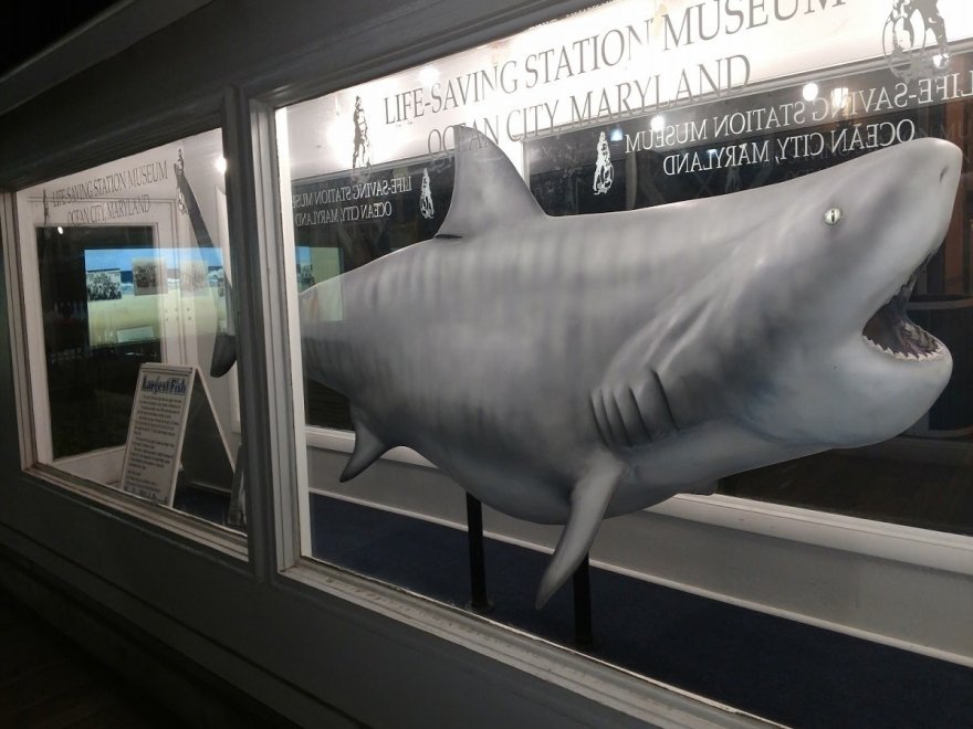 Ocean City Life-Saving Museum