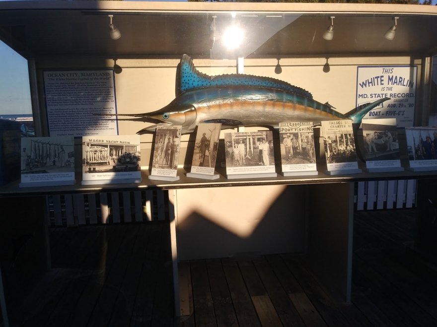 Ocean City Life-Saving Museum