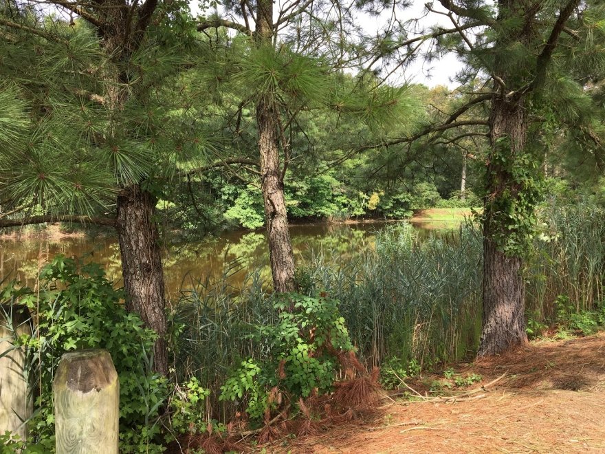 Island Resort Campground