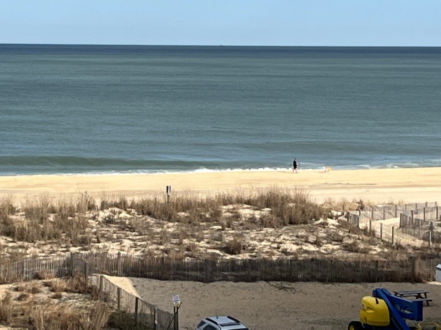 Marylander Hotel Condo