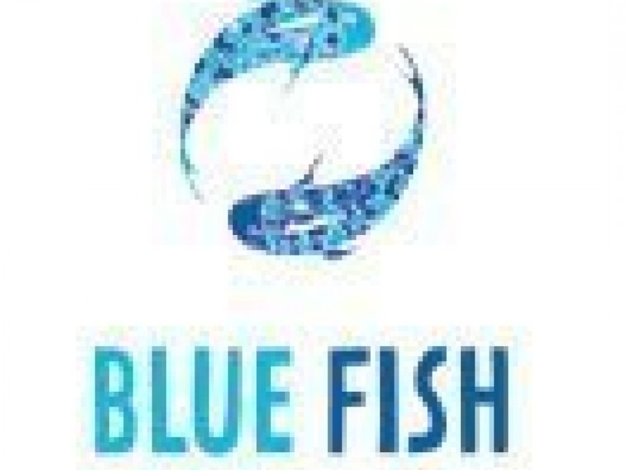 Blue Fish