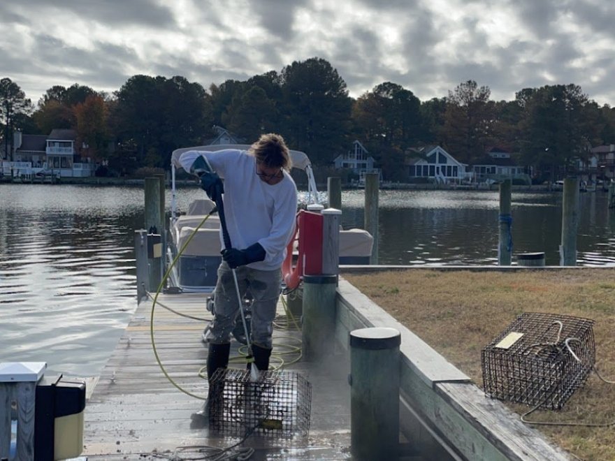 Maryland Coastal Bays Program