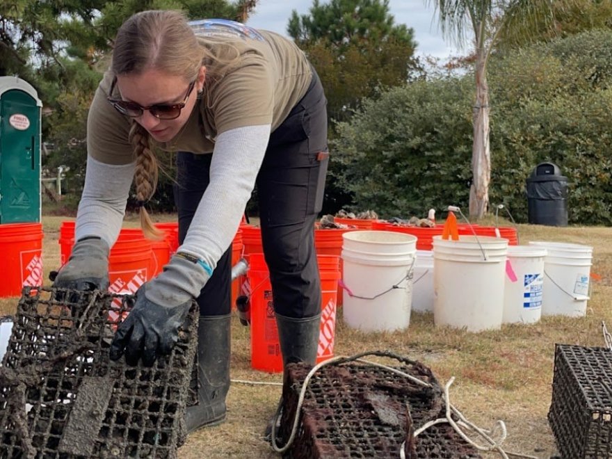 Maryland Coastal Bays Program