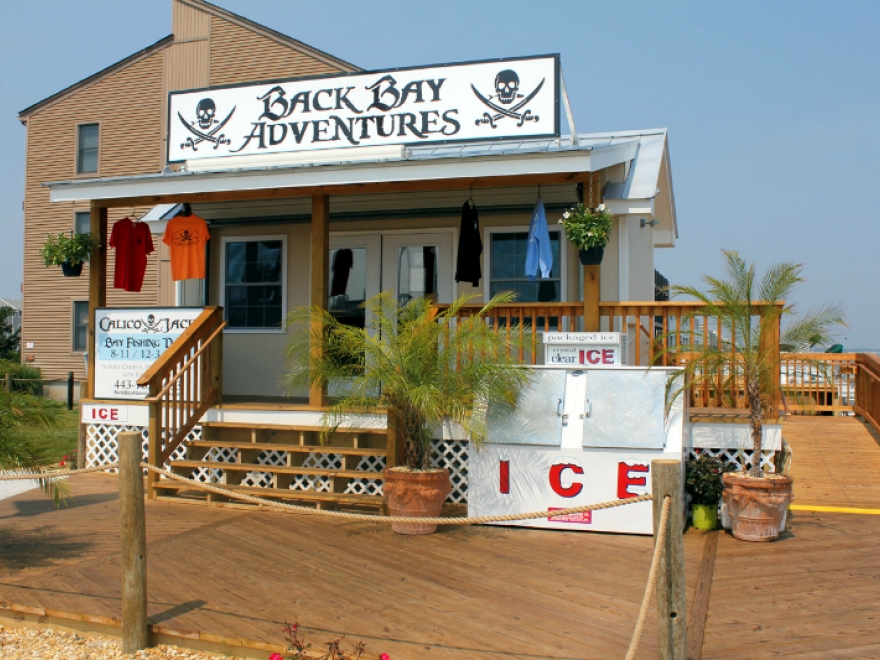 Back Bay Adventures: Jet Ski Rentals, Fishing Charters, & Jet Boat Rides In Ocean City MD