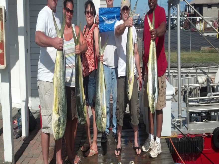 Fin Chaser Sportfishing Charters